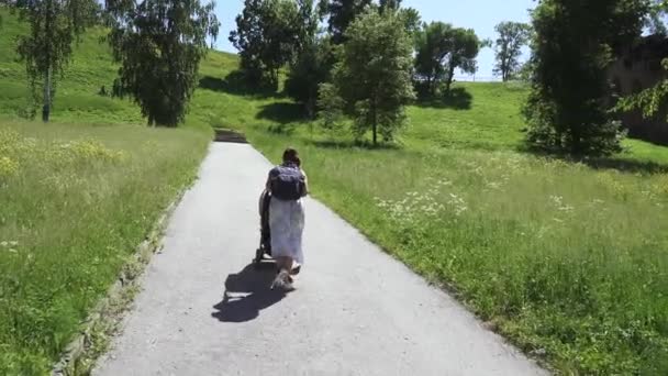 歩行中のベビーカーの少年 — ストック動画