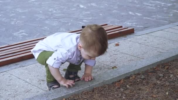 Een jongen speelt in een stadsbloemenbed — Stockvideo