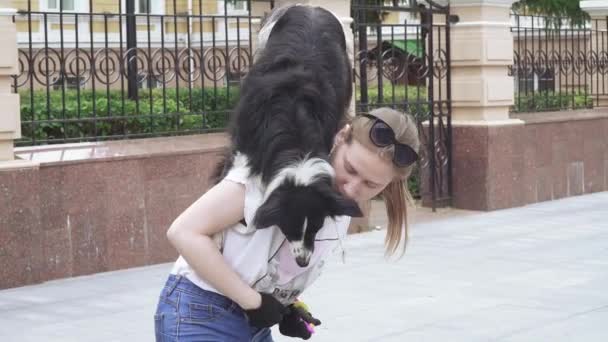 En tränad hund utför trick med en flicka tränare — Stockvideo