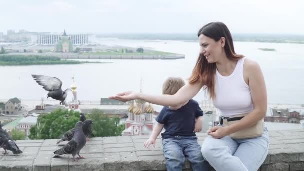 Mamá con su hijo alimenta palomas — Vídeo de stock