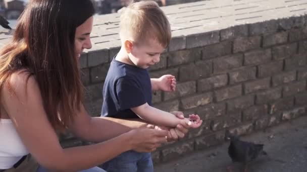 Мама с сыном кормит голубей — стоковое видео