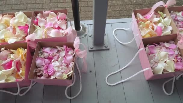 Petali di rosa per una cerimonia nuziale — Video Stock