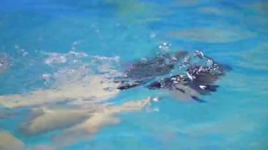 Bebek havuzundaki çocuk