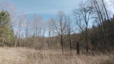 Erken saatlerde yaprak döken orman