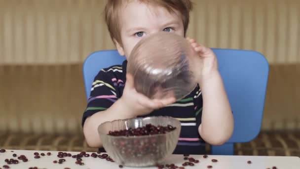 Menino criança está brincando feijão — Vídeo de Stock