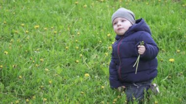 Şapkalı çocuk karahindiba koparır.