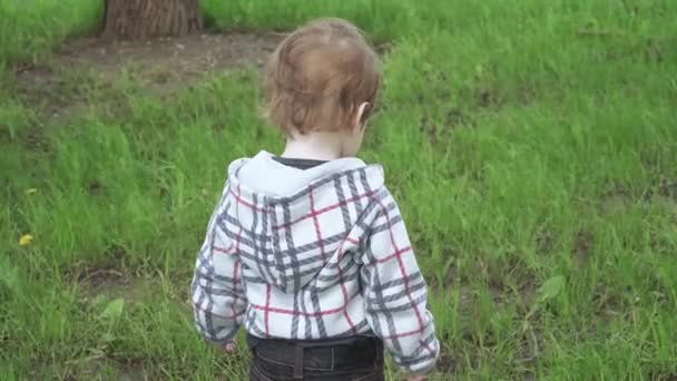 一个男孩在茂密的草地上 — 图库视频影像