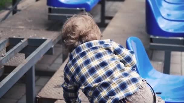 Boy creeps along the rows — Stock Video