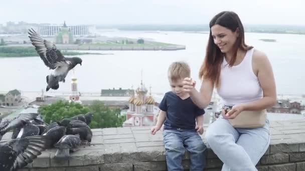 Mutter mit ihrem Sohn füttert Tauben — Stockvideo