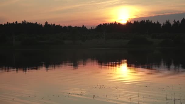 एक छोटे झील पर सूर्यास्त — स्टॉक वीडियो