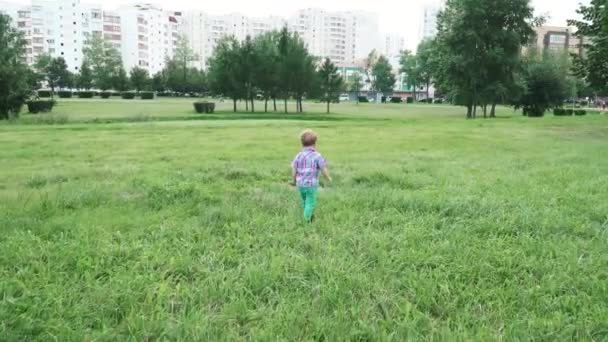 Jongen op het grasveld op de vlucht — Stockvideo