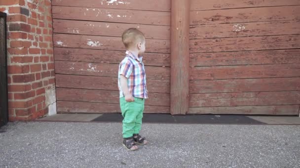 木の門の近くの少年 — ストック動画