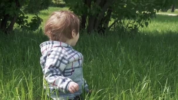 Chłopiec siedzi na trawniku — Wideo stockowe