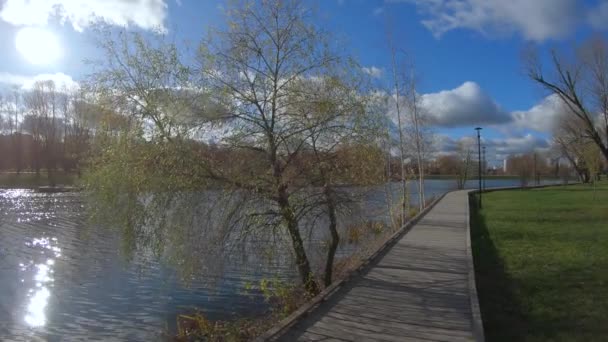 Дерев'яна доріжка біля ставка — стокове відео