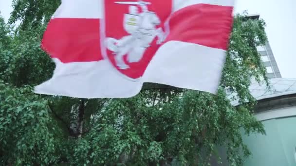 Wit-rood-witte vlag bij de rally — Stockvideo