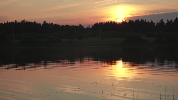 Coucher de soleil sur un petit lac — Video