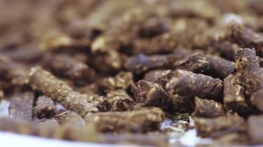 Deniz dikenli İvan çayı