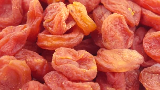 Högen med torkade aprikoser — Stockvideo