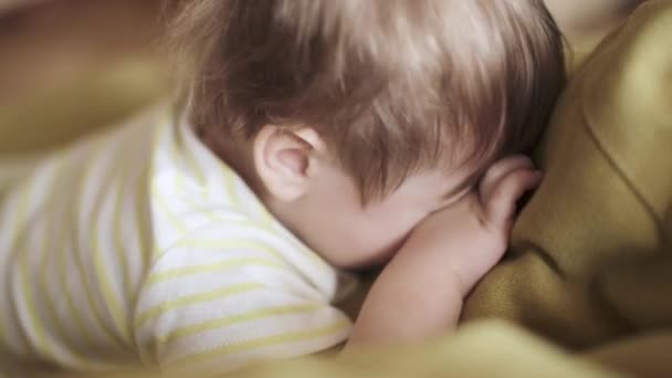 Niño viendo la televisión en la almohada — Vídeo de stock