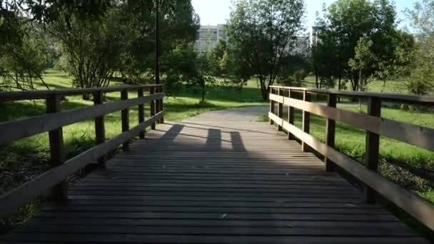 Ponte di legno sul fiume — Video Stock