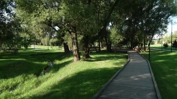 Деревянный путь вдоль реки — стоковое видео