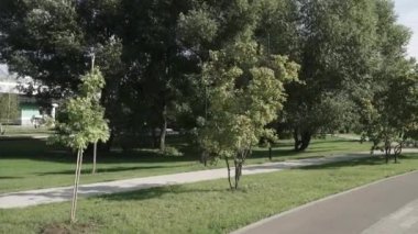 Şehir parkındaki sokak.