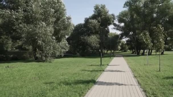 公园里的小巷 — 图库视频影像