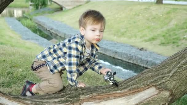 Мальчик на ветке дерева — стоковое видео