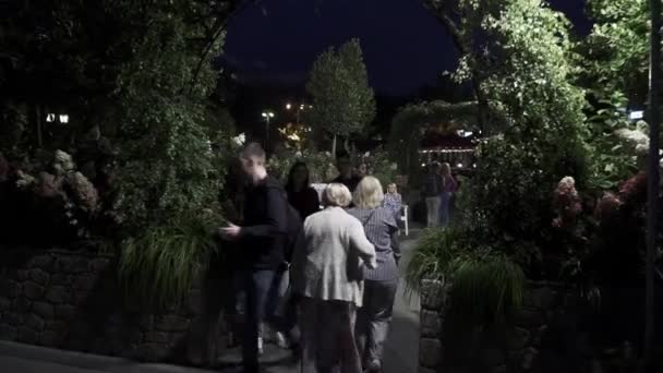 Bloemendecoratie en bloembedden met verlichting in de avond — Stockvideo