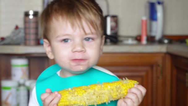 Pojke äter kokt majs — Stockvideo