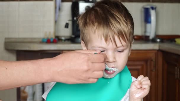 Pojke äter keso — Stockvideo