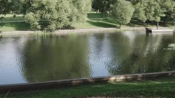 Lago com patos e casas — Vídeo de Stock