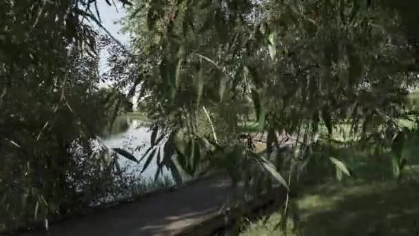 Caminho de madeira ao longo da lagoa — Vídeo de Stock