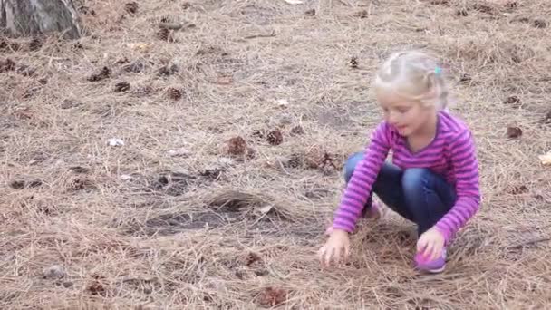 Bébé fille recueille cônes de pin — Video