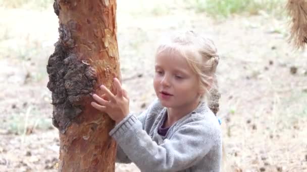 抱着树的女孩 — 图库视频影像