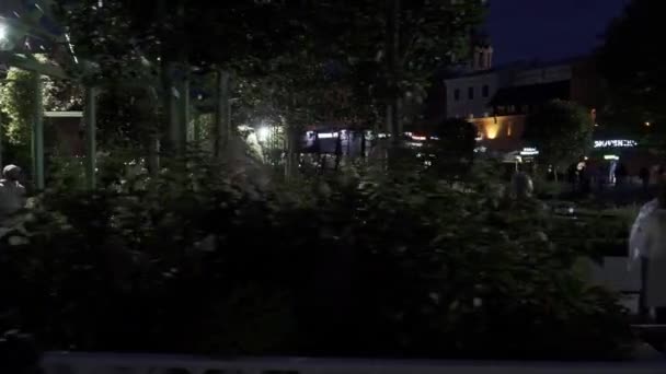 Bloemendecoratie en bloembedden met verlichting in de avond — Stockvideo