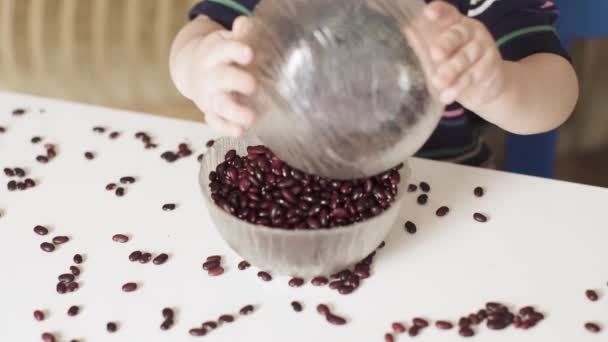 Niño niño está jugando frijoles — Vídeos de Stock