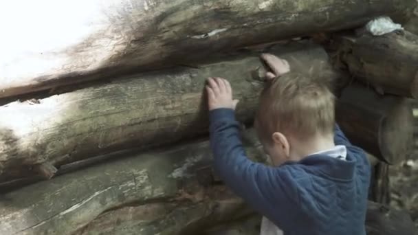 Seorang anak memanjat pagar — Stok Video