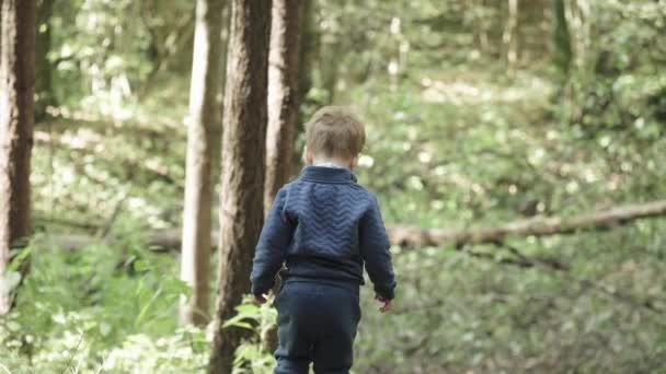 一个在秋天的森林里散步的男孩 — 图库视频影像