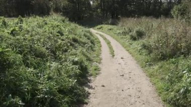 Uzun otların arasında toprak yol