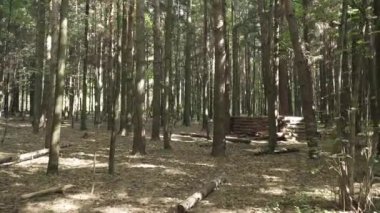 Kütüklerden yapılmış çit