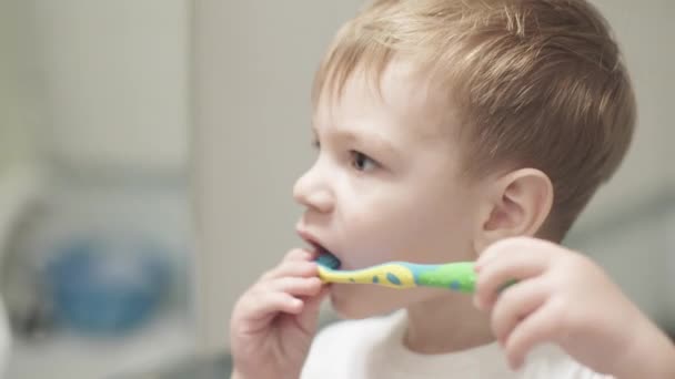 Niño 2 años cepillos de dientes — Vídeo de stock