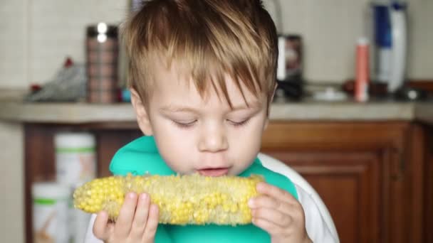 Jongen die gekookte maïs eet — Stockvideo