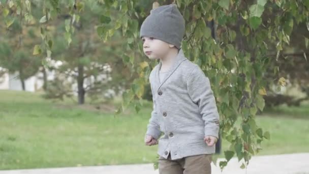 Мальчик на склоне холма в парке — стоковое видео