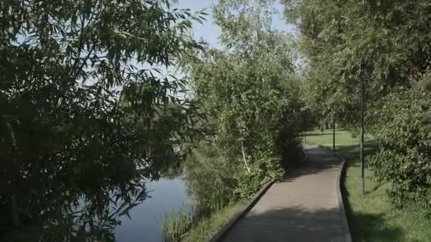 Caminho de madeira ao longo da lagoa — Vídeo de Stock