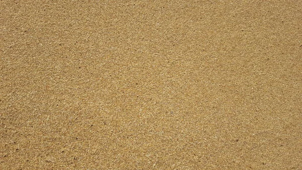 plaj kum arkaplan dokusu kopyalama alanını kapat.