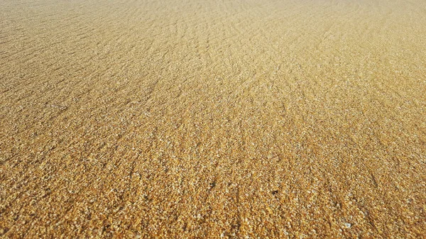 Altın plaj doğal kum arkaplanı dokusu yakın..