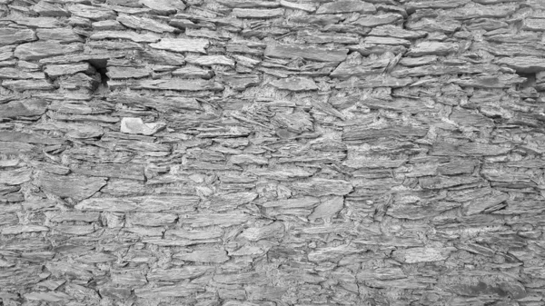 Gri doğal sert granit duvar dokusu güzel arka plan, siyah ve beyaz.