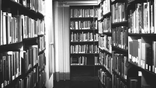 Books on bookshelves in the public library room background. School book in bookshelf beautiful concept. black and white.