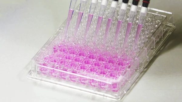 Çok kanallı pipetler numuneleri 96 kuyu mikro plakası ya da 96 mikro titre plaka içine yerleştirip çekim arkaplan laboratuvar konseptini kapatıyorlar..